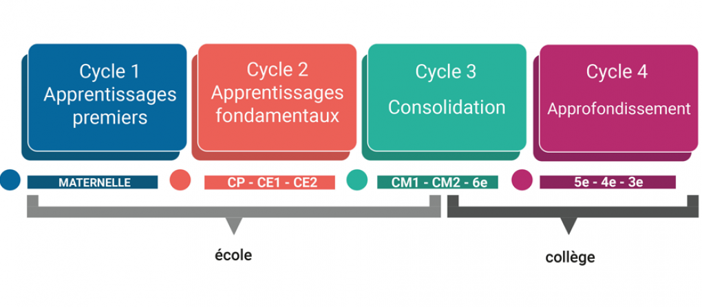 cycles-enseignement-952x408-png-2615.png