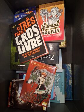 club lecture-livres 02-2026.jpg